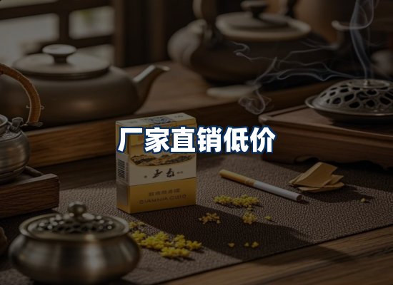 专业团队办公环境
